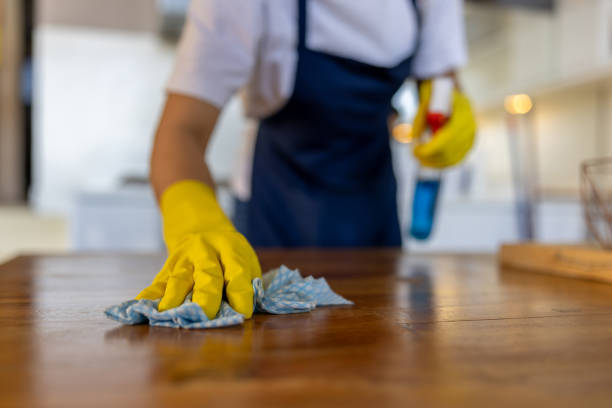 Kitchen cleaning services