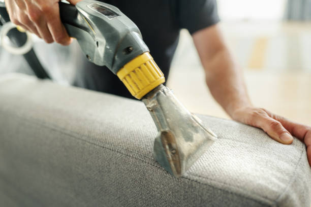 Sofa cleaning services