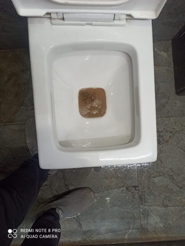 Bathroom Cleaning after image